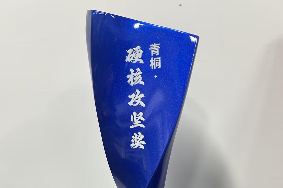 青桐·硬核攻坚奖